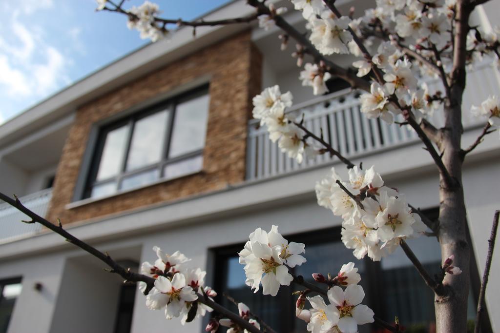 포돌스돌프앰씨 Haus Renee B&B 외부 사진